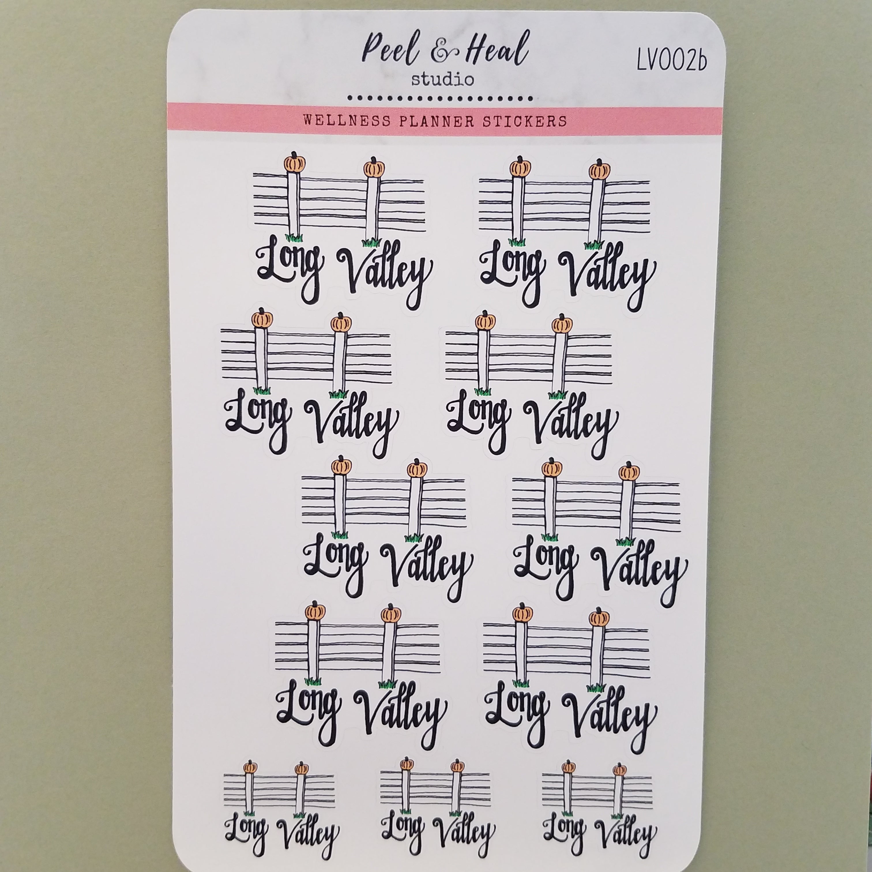 Long Valley NJ Hand-drawn Landmark Stickers - Peel & Heal Studio - 07853