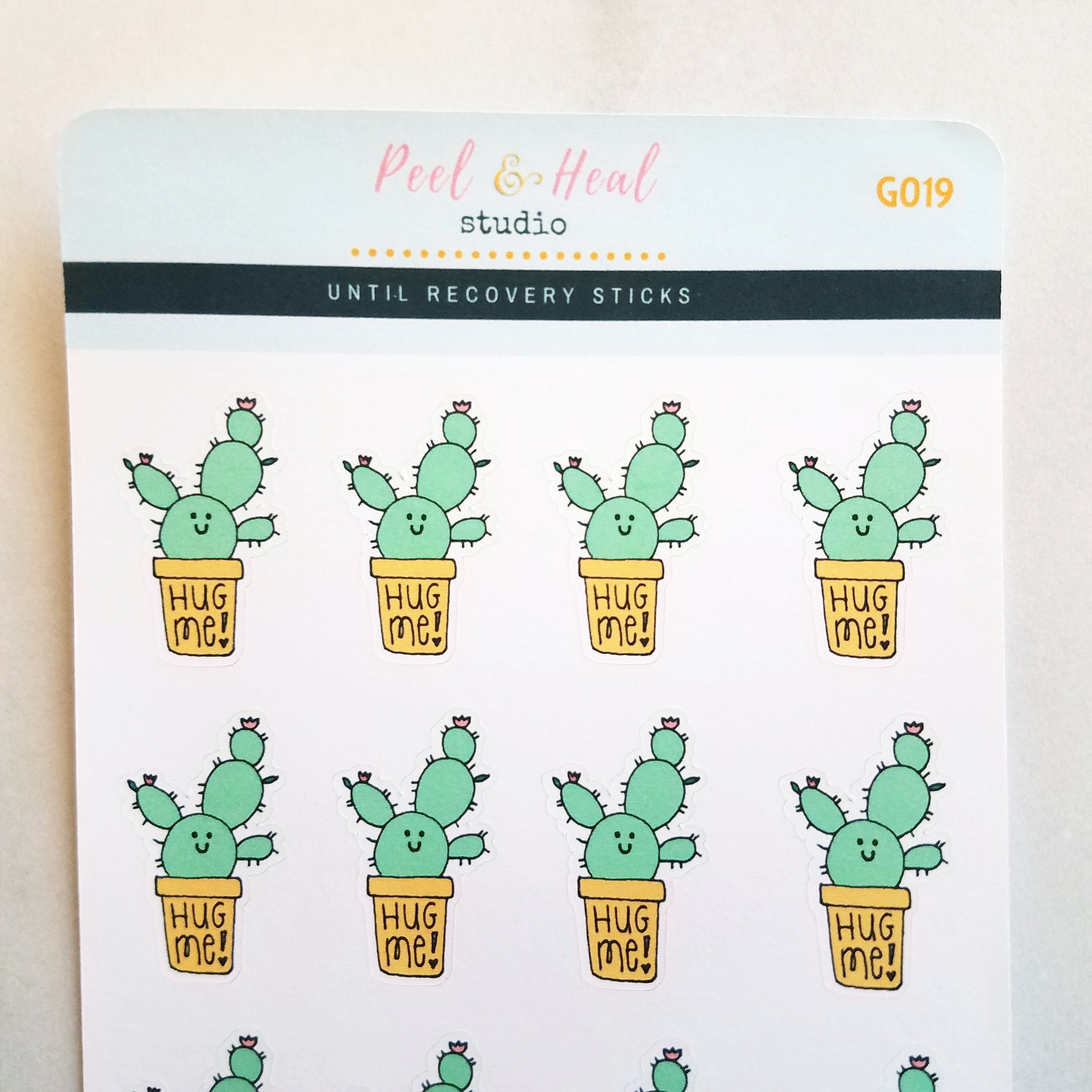 Hug Me Cactus