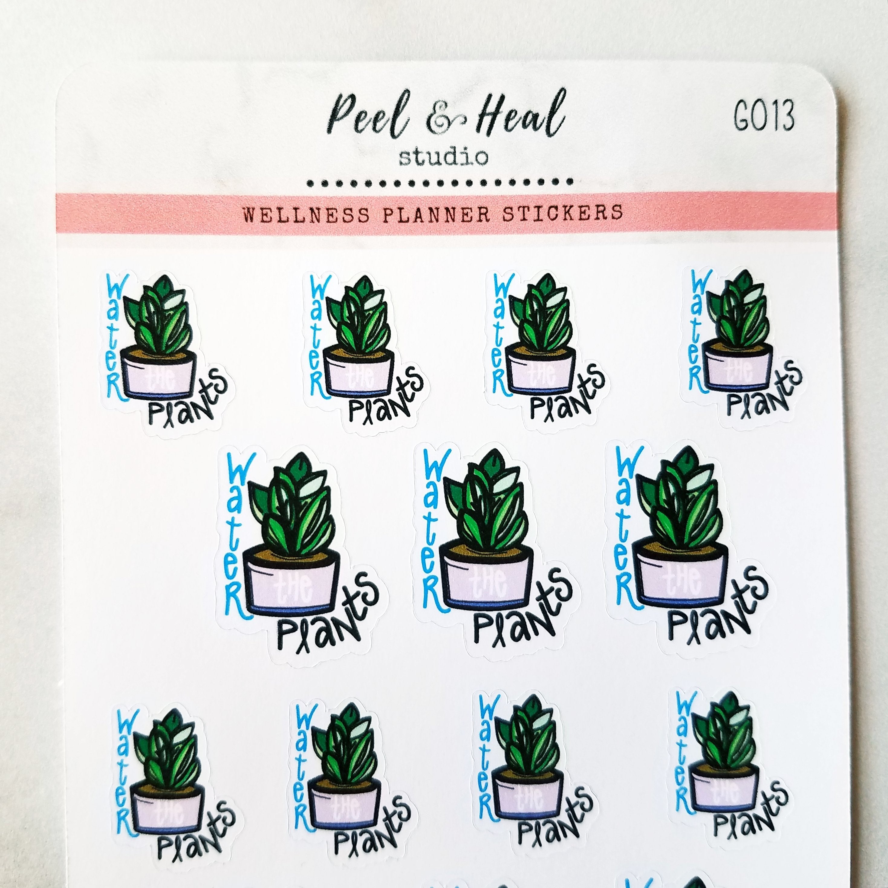 Water the Plants