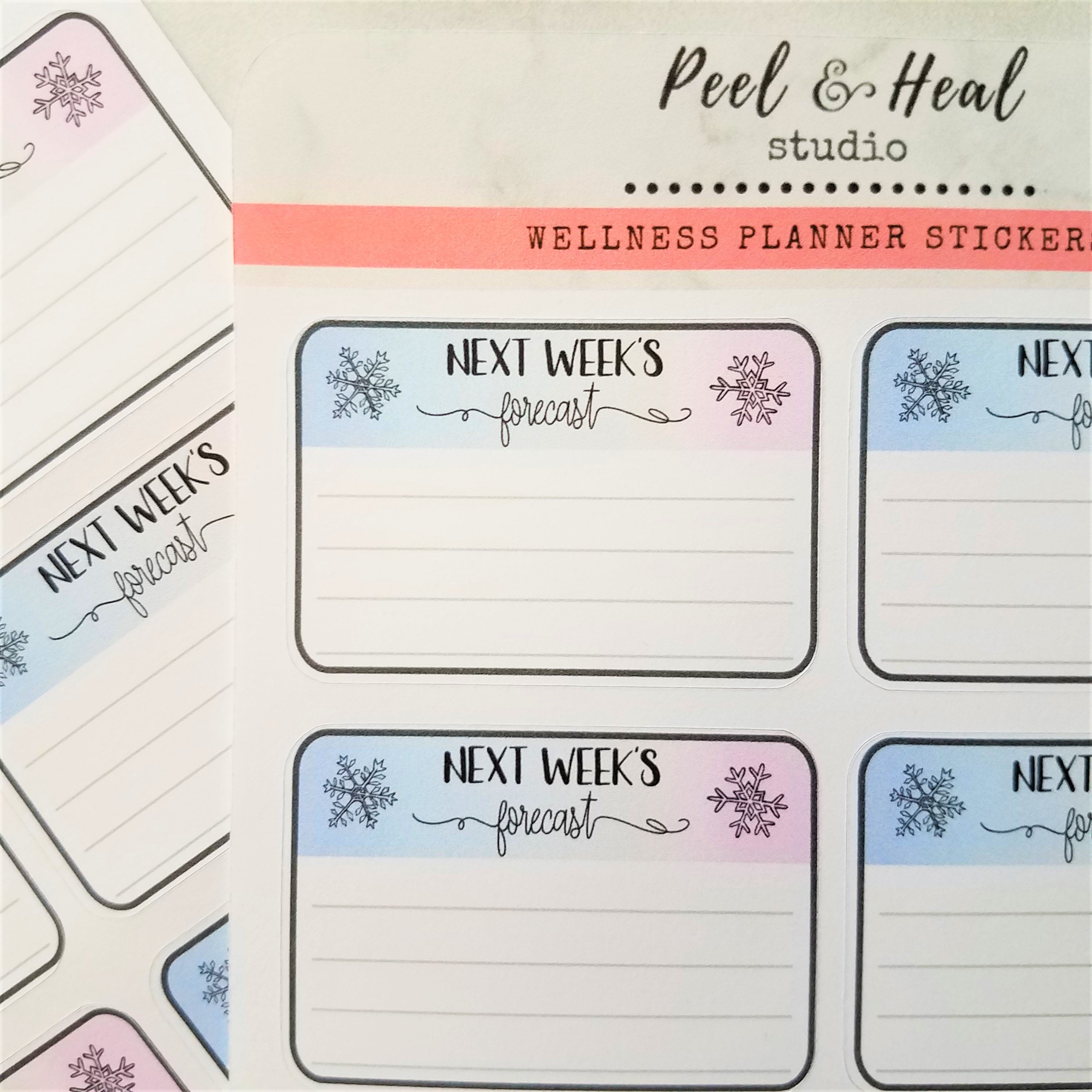Winter Functional Planner Stickers: Next Week's Forecast - Peel & Heal Studio-Stickers