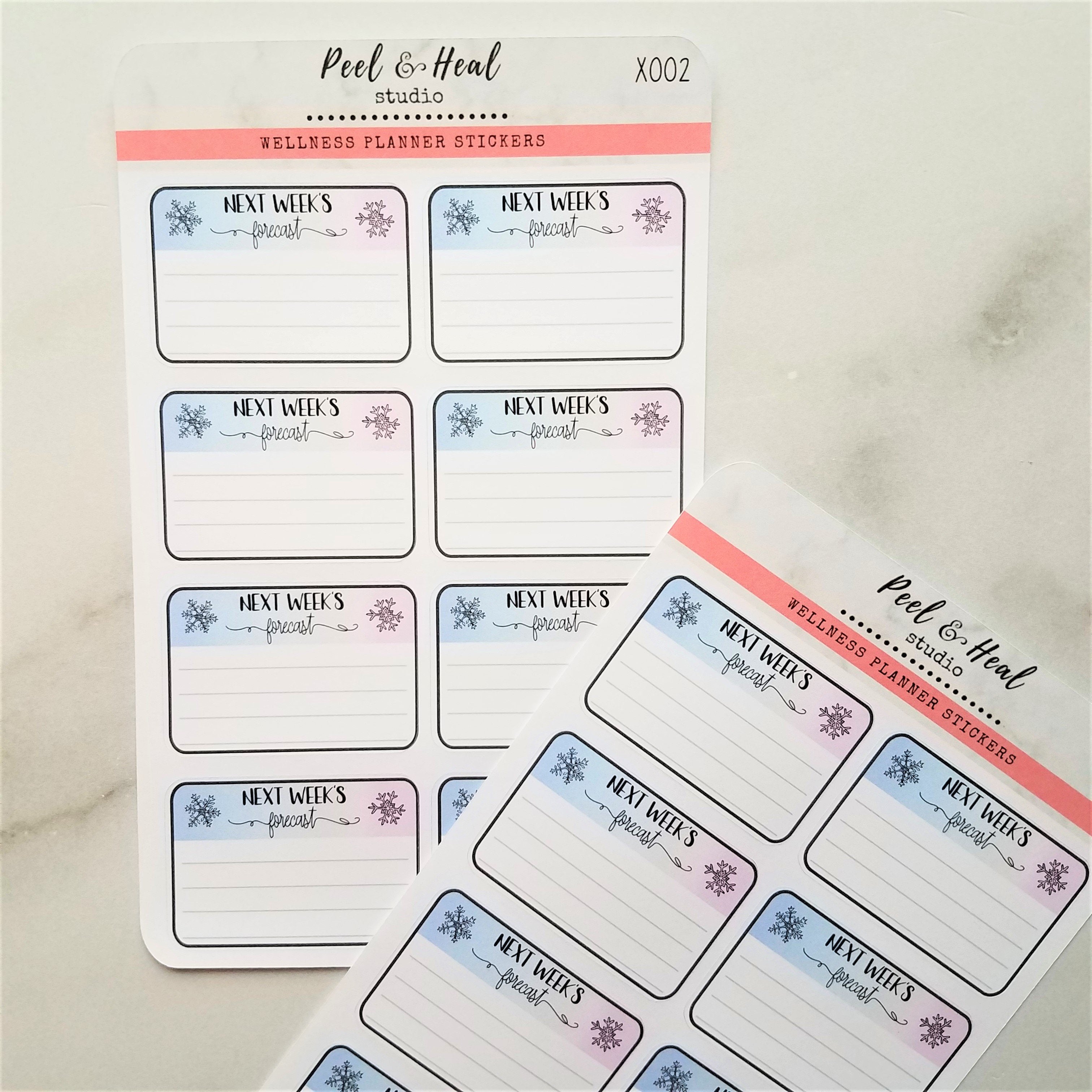 Winter Functional Planner Stickers: Next Week's Forecast - Peel & Heal Studio-Stickers